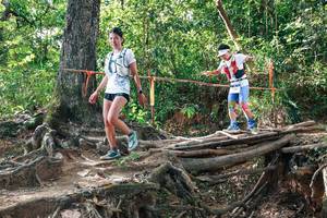 BIB: 
                            <button type="button" onclick="openModal(27557340)" class="btn btn-primary btn-sm float-right btn-popup" data-toggle="modal" data-target=".modal-high-quality">
                        <i class="fas fa-shopping-cart"></i> Add to Cart
                    </button>
                                            <button type="button" onclick="isThisMe(27557340, true)" class="btn btn-success btn-sm float-right btn-popup btn-isme hidden" data-toggle="tooltip" data-placement="bottom" title="นี่คือรูปของคุณใช่ไหม คลิกที่นี่เพื่อเอาเข้าอัลบั้ม">
                        <i class="fas fa-plus"></i> Add to album
                    </button>
                    <button type="button" onclick="isThisMe(27557340, false)" class="btn btn-warning btn-sm float-right btn-popup btn-isnotme hidden">
                        <i class="fas fa-ban"></i> Remove from album
                    </button>